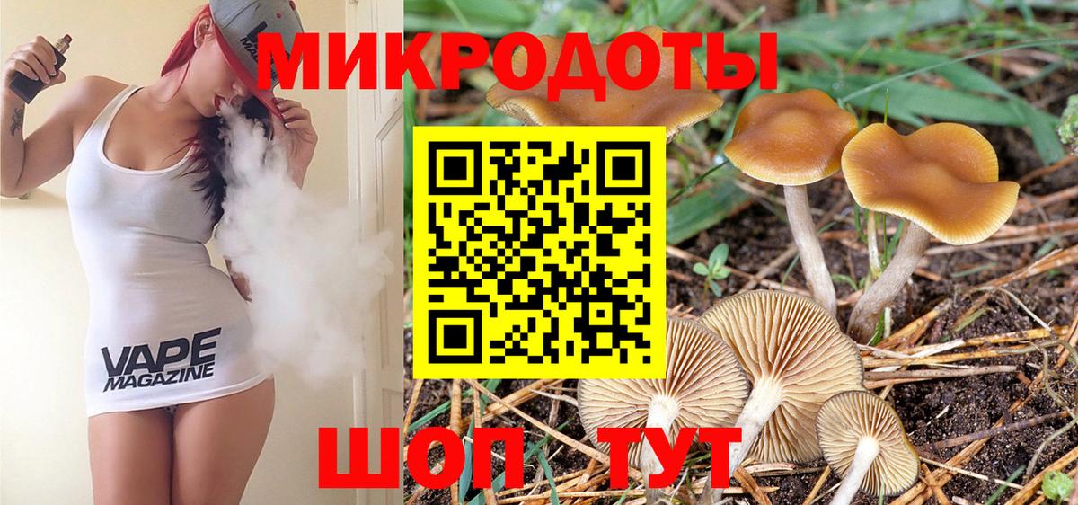 Елизово  Псилоцибиновые грибы мухоморы  Вход с VPN 